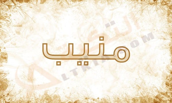 معنى اسم منيب