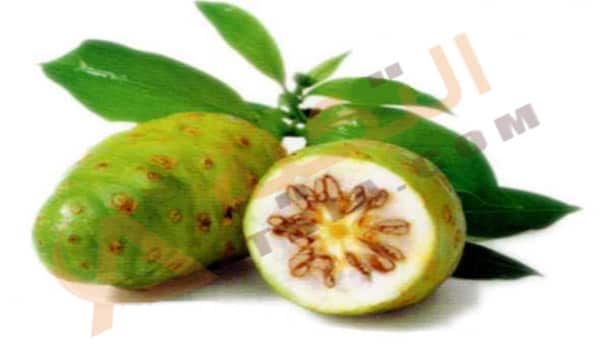 فوائد التوت الهندي الصحية