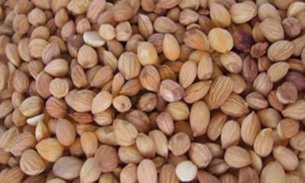 فوائد المحلب للشعر