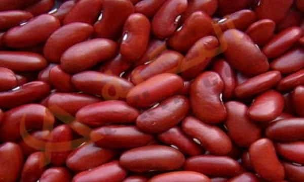 فوائد الفاصوليا الحمراء الصحية