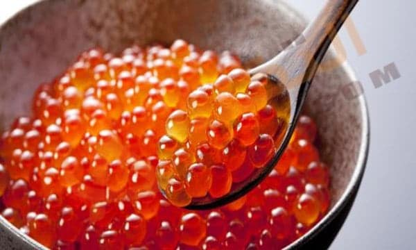 فوائد بيض السمك