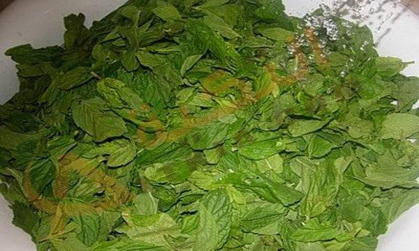 طرق تجفيف النعناع