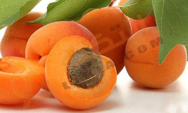 تفسير حلم المشمش