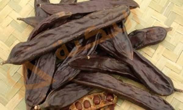 فوائد الخروب للشعر