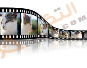تفسير حلم الصور