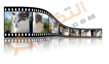 تفسير حلم الصور