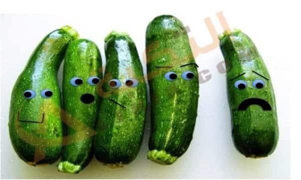 فوائد الكوسة