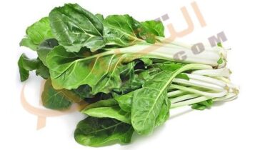 فوائد نبات السلق
