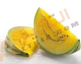فوائد البطيخ الأصفر