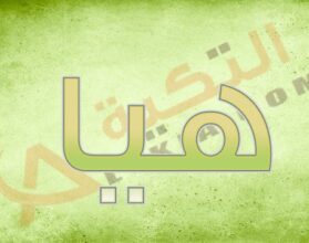 معنى اسم هيا