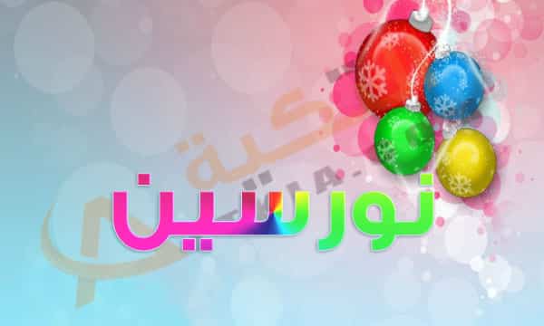 معنى اسم نورسين