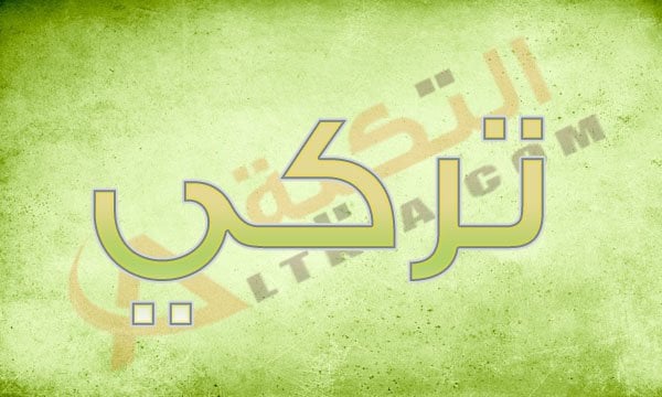 معنى اسم تركي