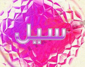 معنى اسم سيل