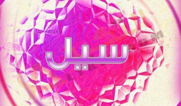 معنى اسم سيل