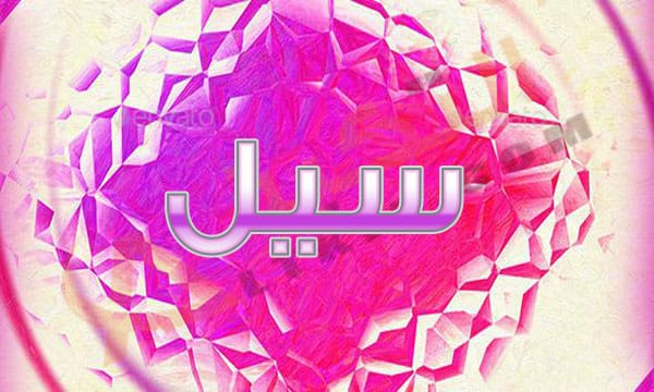 معنى اسم سيل