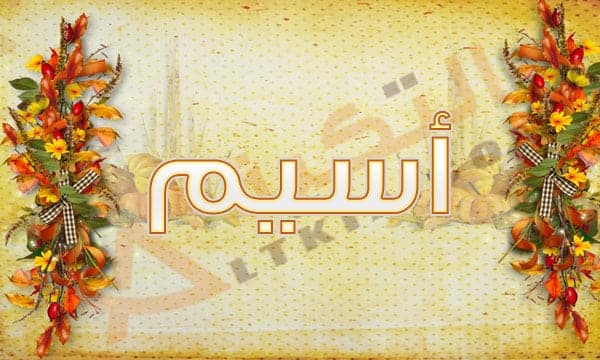 معنى اسم أسيم