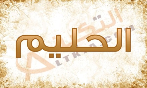 معنى اسم الحليم