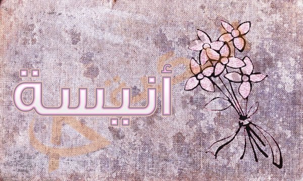 معنى اسم أنيسة