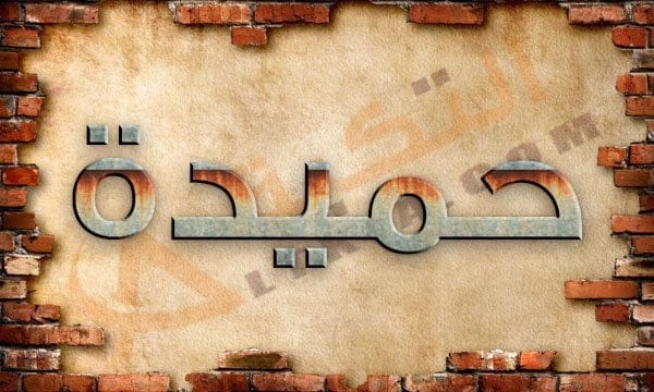 معنى اسم حميدة