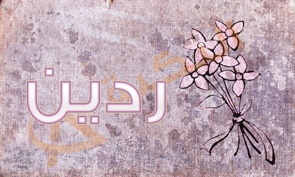 معنى اسم ردين
