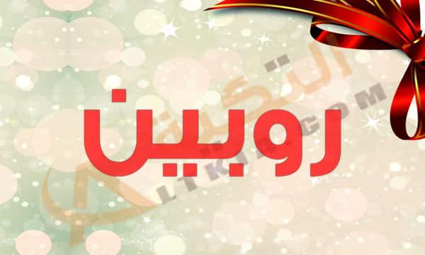 معنى اسم روبين