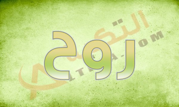 معنى اسم روح