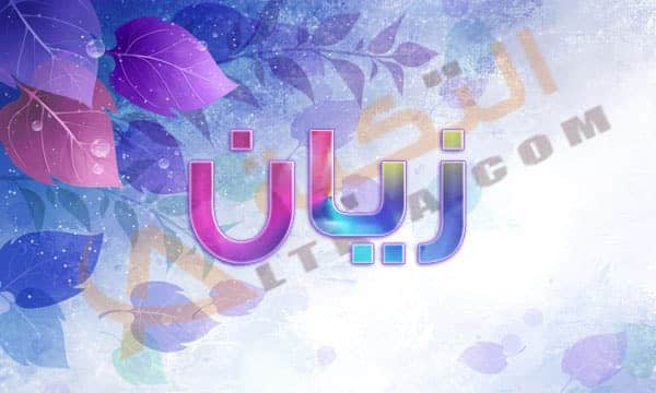 معنى اسم زيان