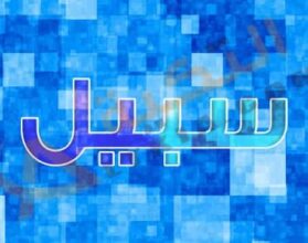 معنى اسم سبيل