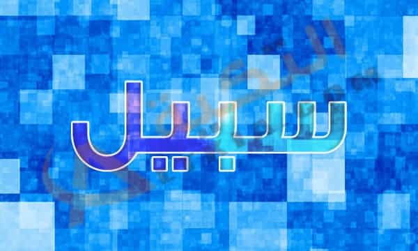 معنى اسم سبيل