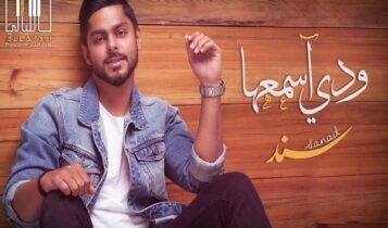 كلمات اغنية ودي اسمعها - سند