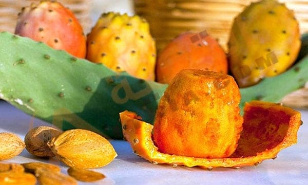 فوائد فاكهة الصبر