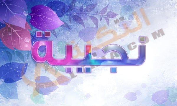 معنى اسم نجيبة