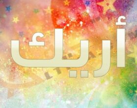 معنى اسم أريك