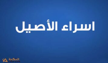 اغنية من صغري احبك