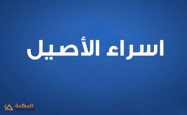 اغنية من صغري احبك