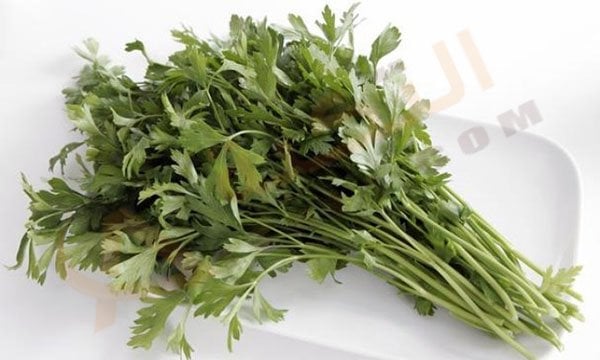 ماسك البقدونس للشعر