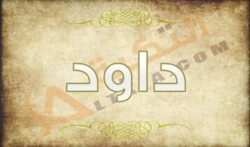 معنى اسم داود
