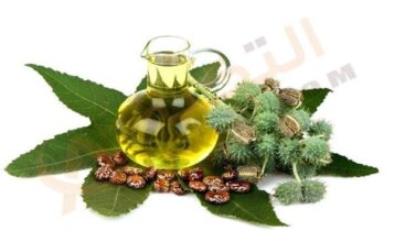 زيت الخروع للبشرة