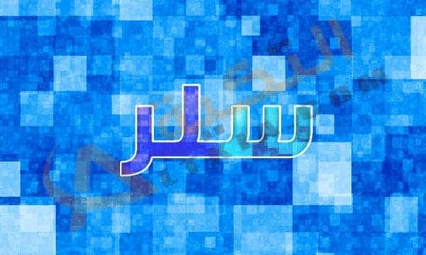 معنى اسم سلر