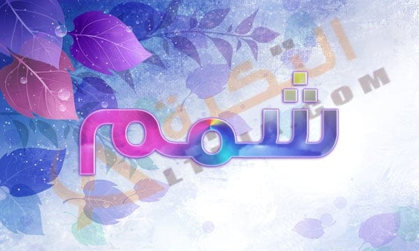 معنى اسم شمم
