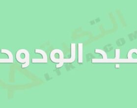 معنى اسم عبد الودود