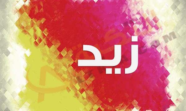 معنى اسم زيد وشخصيته بالتفصيل
