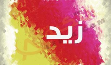 معنى اسم زيد