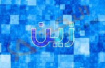 معنى اسم زين