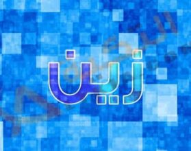 معنى اسم زين