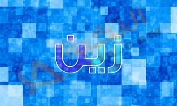 معنى اسم زين