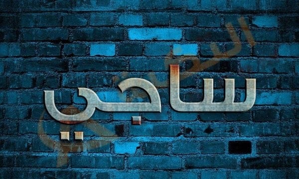 معنى اسم ساجي