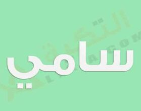 معنى اسم سامي