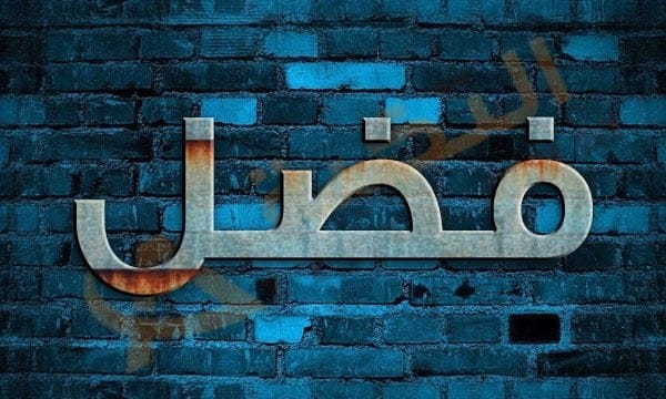 معنى اسم فضل
