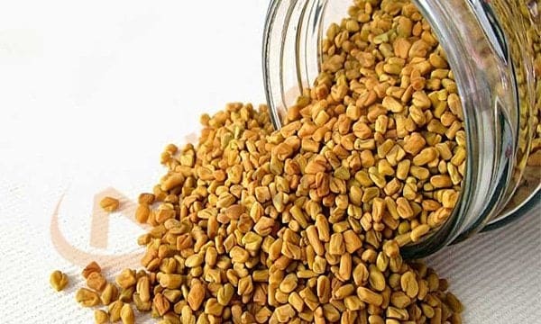 فوائد الحلبة
